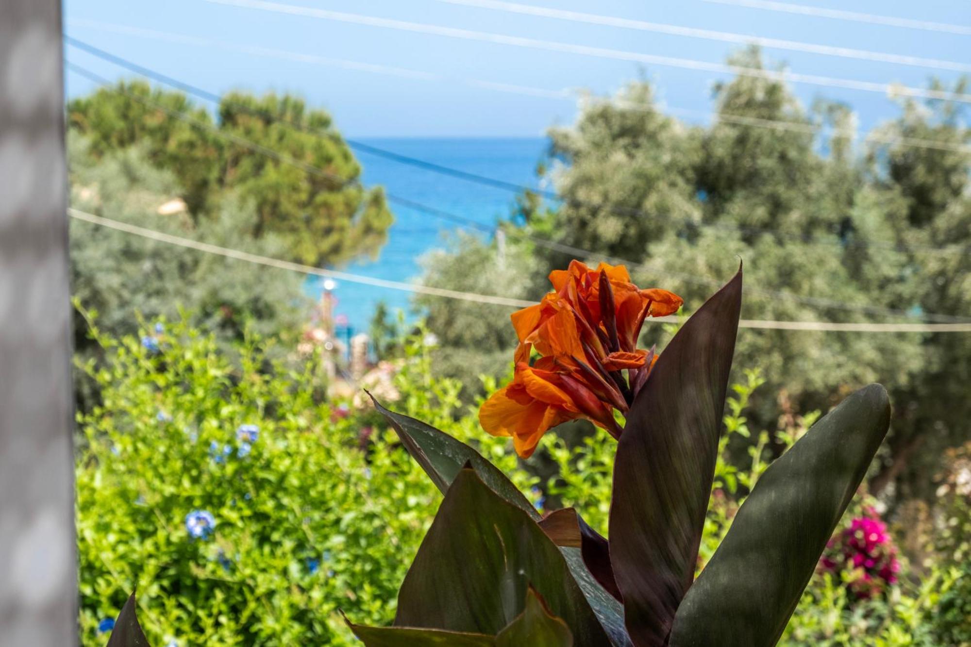 Theasea House Apartment Agios Nikitas Exterior photo